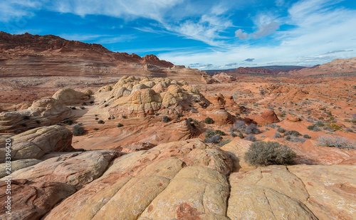 Landscape of The wave, Arizona