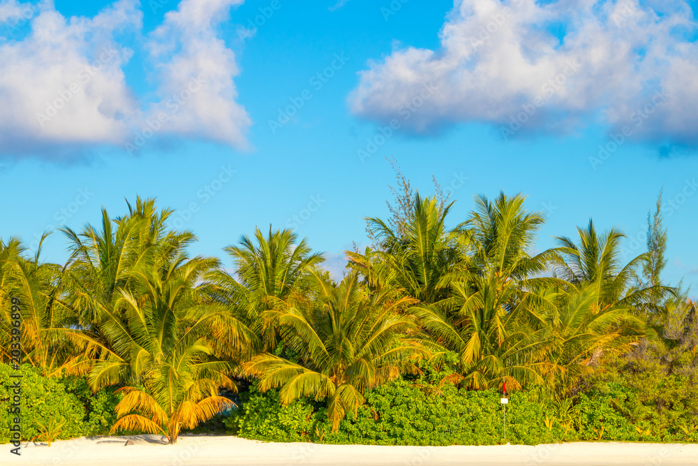 Fototapeta premium Tropical beach