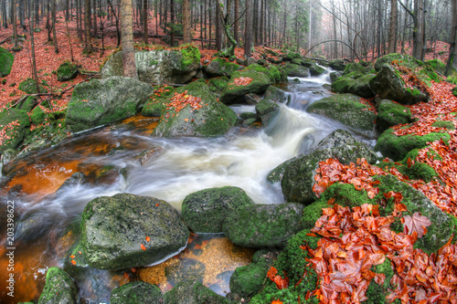 Stream of water over boulders covered with moss in the autumn forest