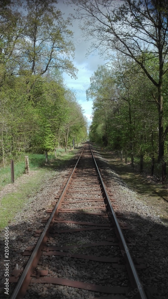Bahnstrecke durch den Stadtwald Neumünster