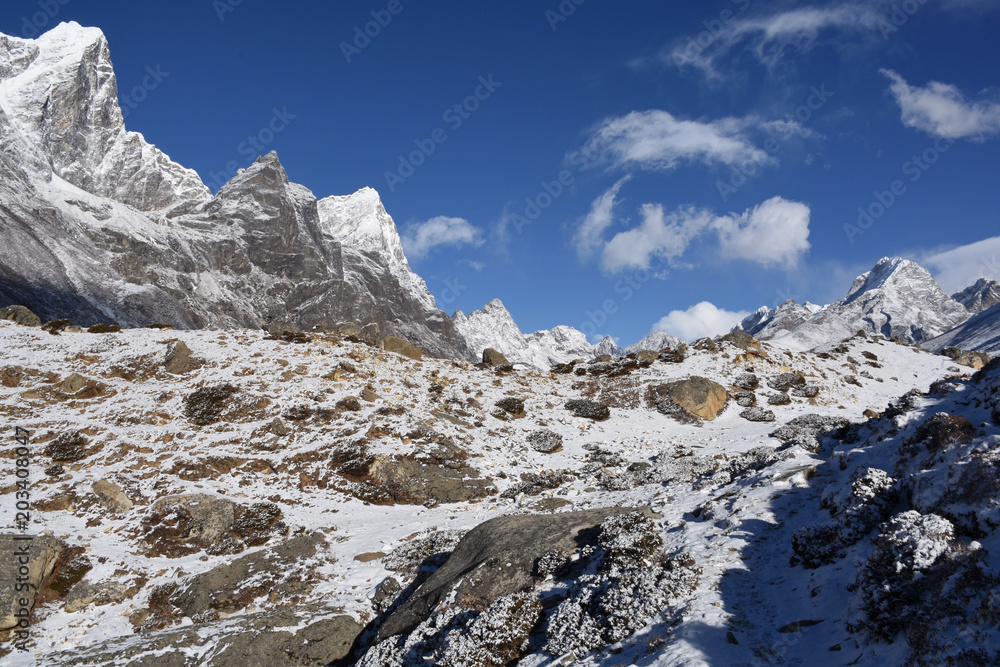 Obraz premium EBC Trek close to Dingboche after snowfall, Nepal