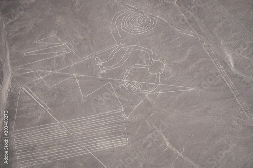 Nazca Lines - The Monkey (Peru)