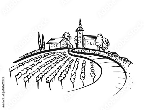 Vineyard Drawing with path and houses on hill