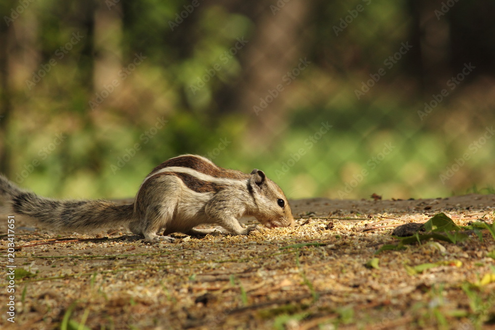 i am hungry i am hungry