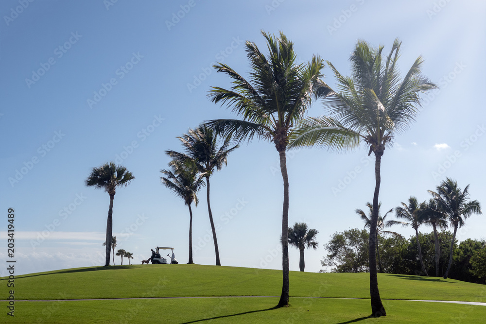Golfcars on the golf course, game, recreation and sports Golfcars on the golf course, game, recreation and sports