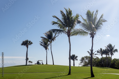 Golfcars on the golf course, game, recreation and sports © Serge Touch