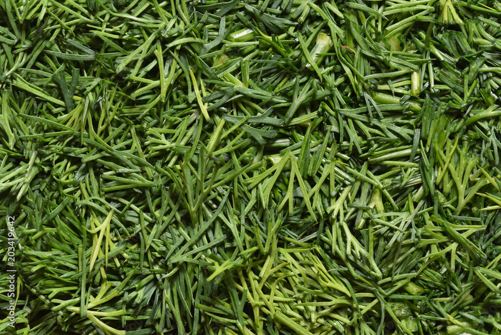 Freshly sliced dill. Finely chopped dill, texture. Bright and fresh chopped dill Freshly sliced dill. Finely chopped dill, texture. Bright and fresh chopped dill