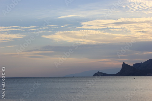 цветы, растения