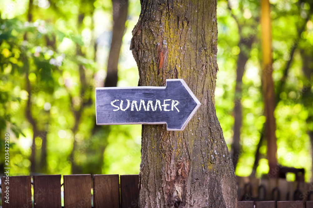 Summer concept,wooden sign on tree
