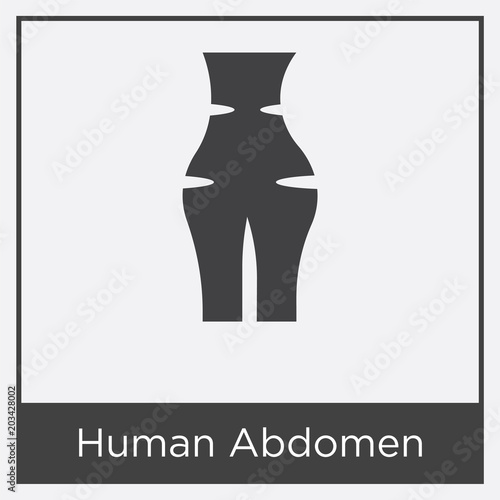 Human Abdomen icon isolated on white background