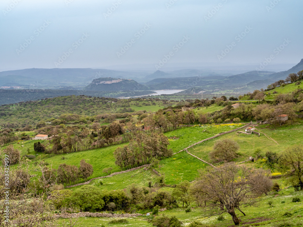 Naklejka premium View of lake Lago del Temo on Sardinia island