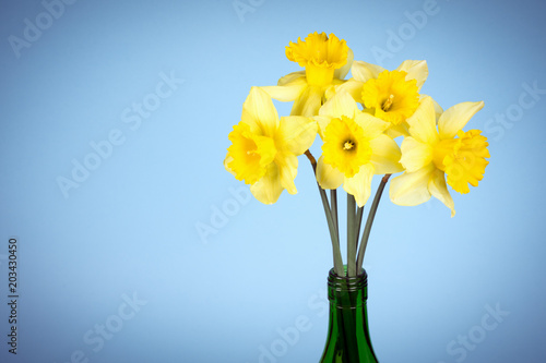 Fototapeta Naklejka Na Ścianę i Meble -  daffodils in bottle