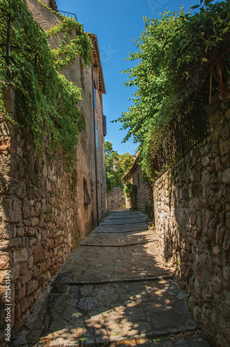 View of stone houses in a narrow alley under blue sky  at the gorgeous medieval hamlet of Les Arcs-sur-Argens  near Draguignan. Located in the Provence region  Var department  southeastern France
