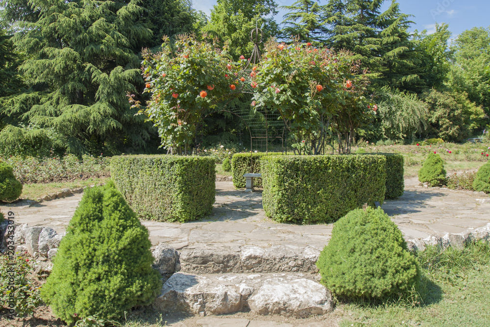 Rosarium in University botanic garden in Saints Constantine and Helena resort, Bulgaria