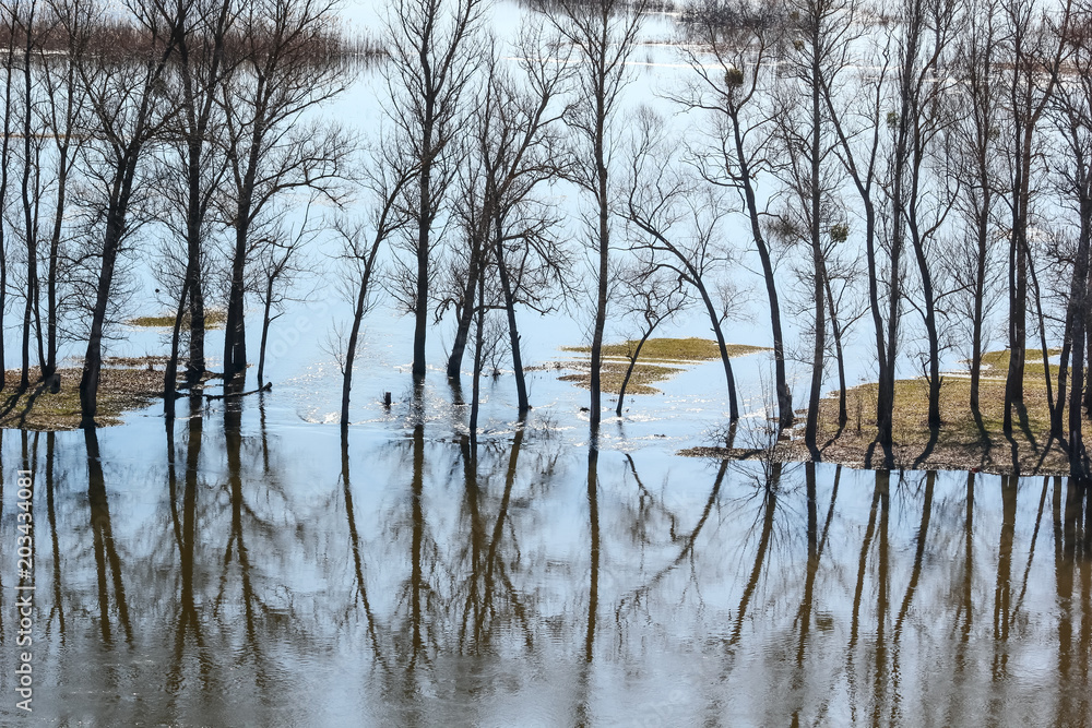 Spring landscape - flood in river valley of the Siverskyi (Seversky) Donets with reflected trees in the water. The northeast of Ukraine Spring landscape - flood in river valley of the Siverskyi (Seversky) Donets with reflected trees in the water. The northeast of Ukraine