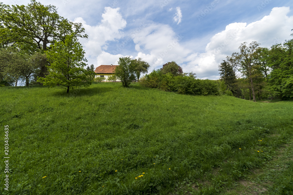 Summer landscape in Czech republic.