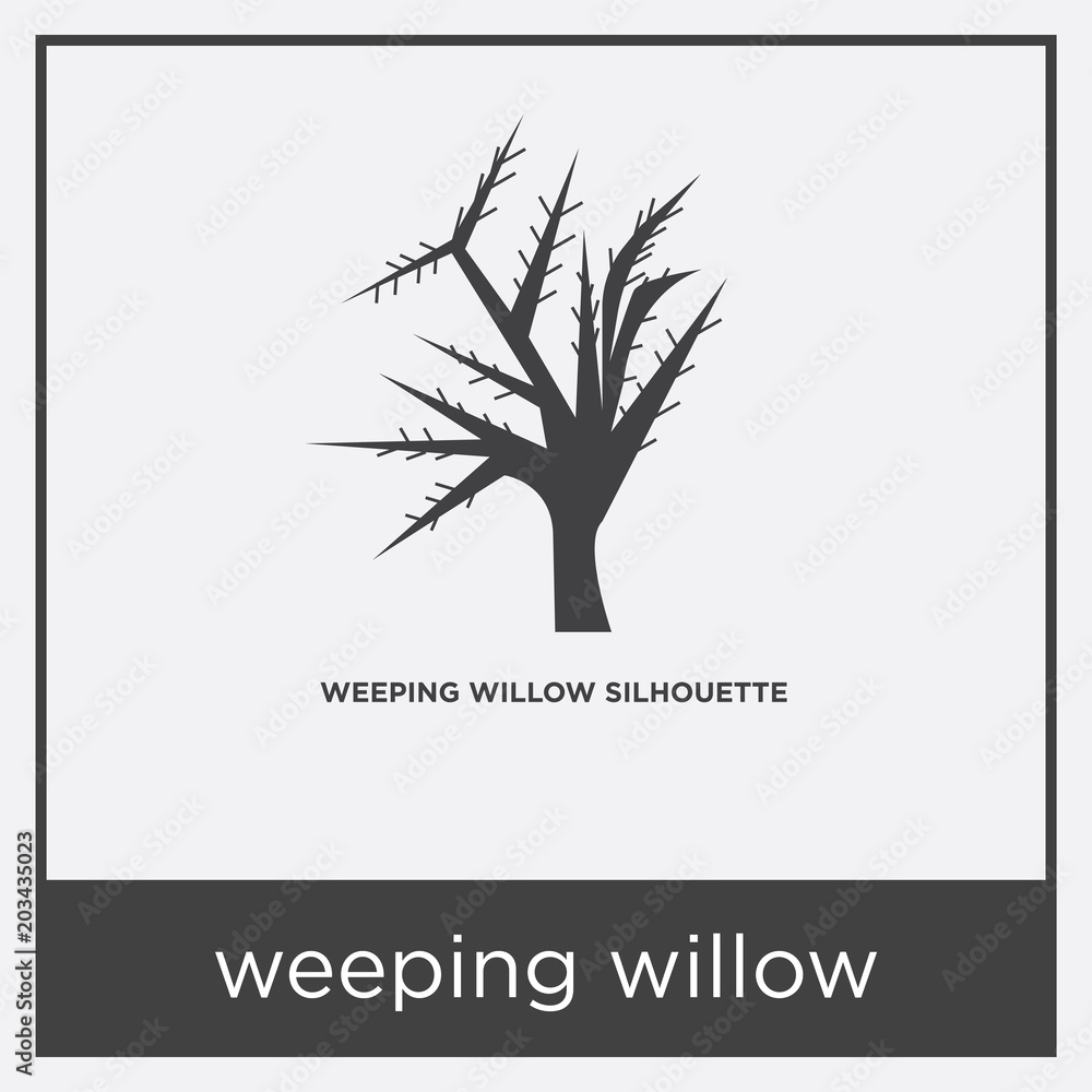 Obraz premium weeping willow icon isolated on white background