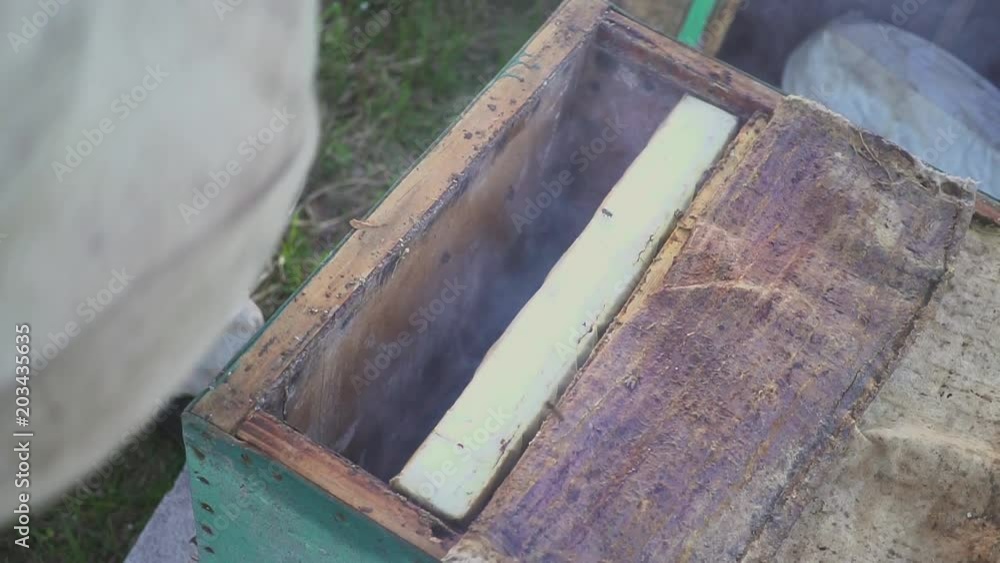 Bees on honeycomb. Honey harvest. Beekeeper gently removes bees from the frame. apiary macro. hd Bees on honeycomb. Honey harvest. Beekeeper gently removes bees from the frame. apiary macro. hd