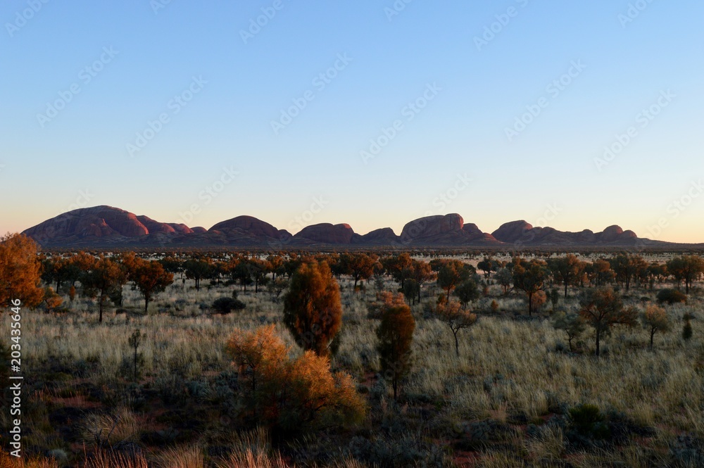 Obraz premium Travel the World