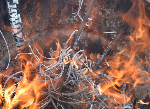 fire fire burning wood in the spring autumn garden