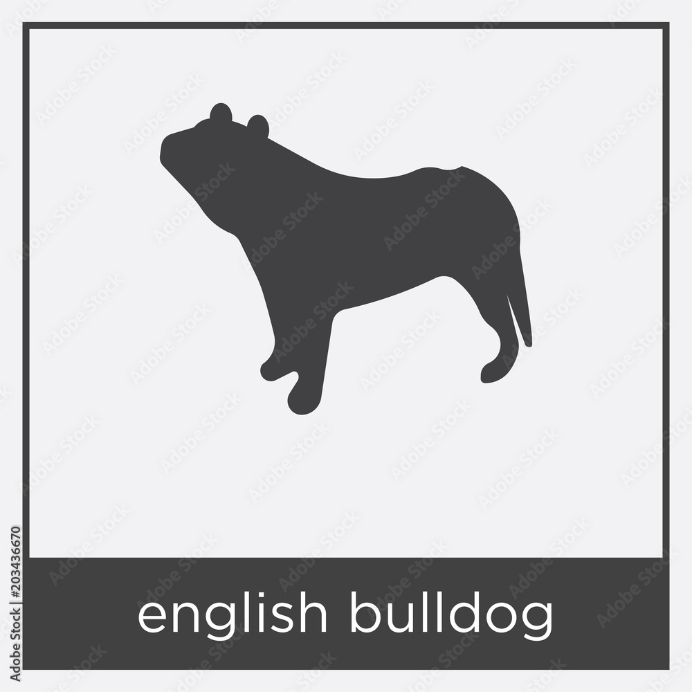 english bulldog icon isolated on white background english bulldog icon isolated on white background