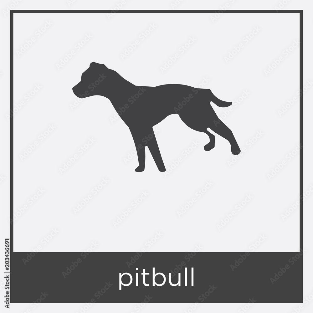 pitbull icon isolated on white background pitbull icon isolated on white background