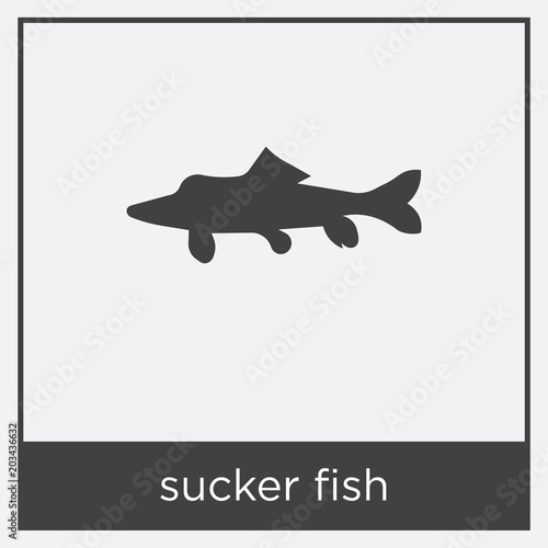 sucker fish icon isolated on white background