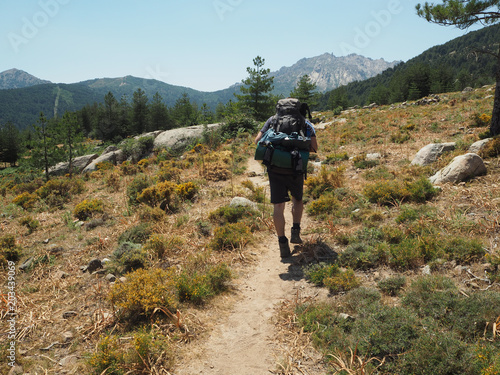 hiker man with heavy backpack walking on GR 20 famous trail in corsician alpes, scenery of high mountain green meadow, spruce tre forest with blue sky background photo