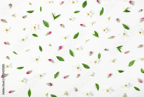 Floral pattern made of spring flowers, pink buds and leaves isolated on white background. Flat lay. Top view.