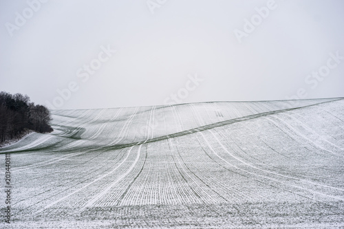 Фотография Winter scene of rolling fields cover with snow. Clod winter day.