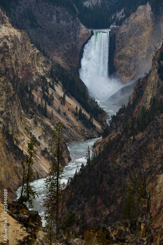 Yellowstone Falls