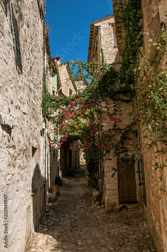 View of alley with stone houses on a blue sunny day in Saint-Paul-de-Vence  a lovely well preserved medieval hamlet near Nice. In Alpes-Maritimes department  Provence region  southeastern France
