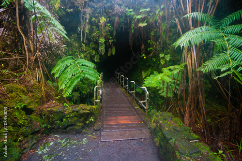hawaii volcanoes National Park Thurston Lava Tube