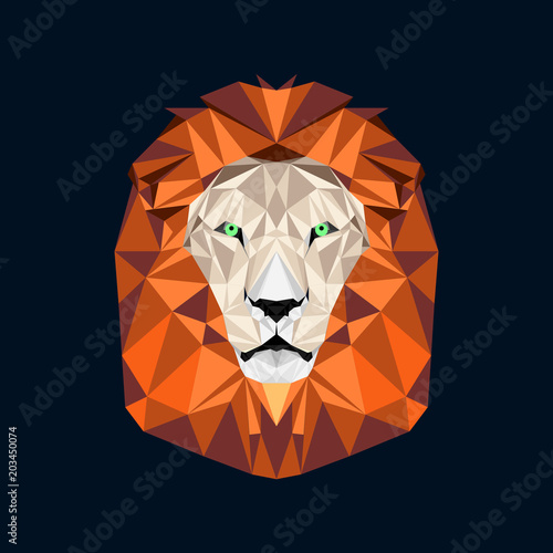 Fototapeta Naklejka Na Ścianę i Meble -  Geometric illustration of a lion head