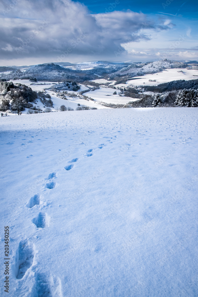 Fußabdrücke im Schnee an einem sonnigen Wintertag, Berlingen Rheinland Pfalz  Germany