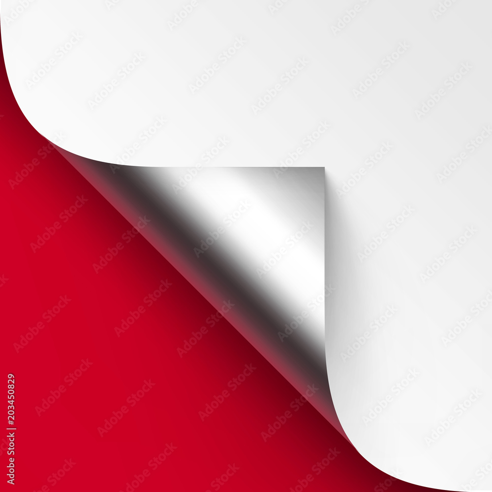 Vector Curled Metalic Silver corner of White paper with shadow Mock up Close up Isolated on Red Background Vector Curled Metalic Silver corner of White paper with shadow Mock up Close up Isolated on Red Background