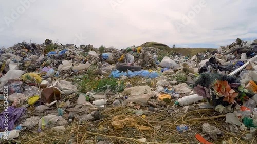 The dump is covered with greenery. bird's-eye view.