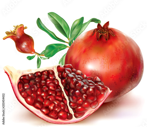 Pomegranate fruits