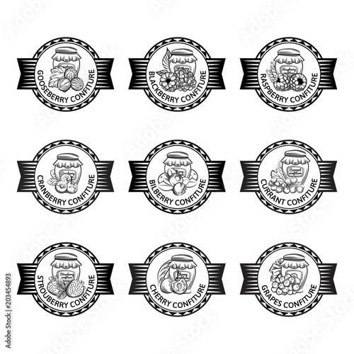 Berry labels set isolated vector illustration 