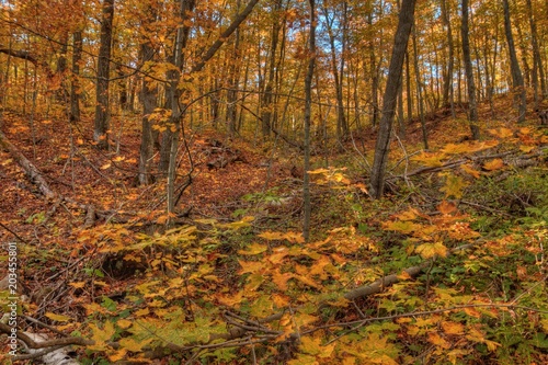 Oberg Mountain is part of the Sawtooth Range on the North Shore in Minnesota