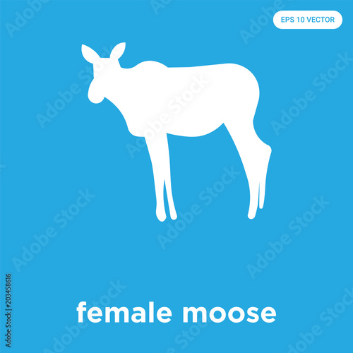 female moose icon isolated on blue background