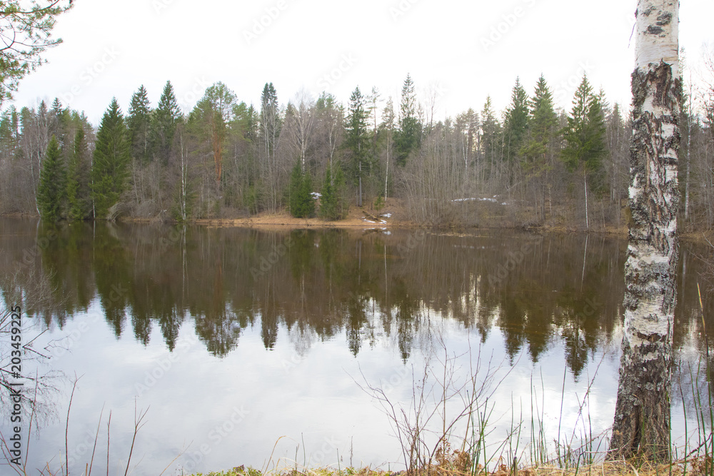 Obraz premium Spring flood forest lake in the north of Russia.