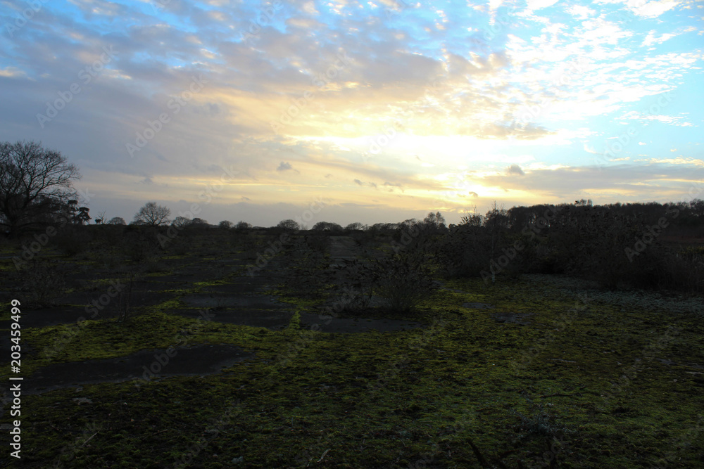 Fototapeta premium Unsed and overgrown runway from World War 2 at Rendlesham Forest/Woodland with blue sky