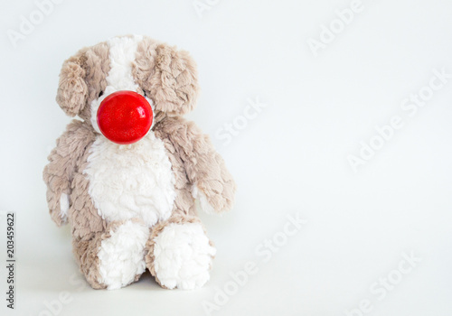 Red Nose Day-cuddly stuffed brown bear wearing a red nose isolated on a solid background