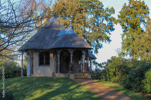 Hut with thatched roof in woodland photo