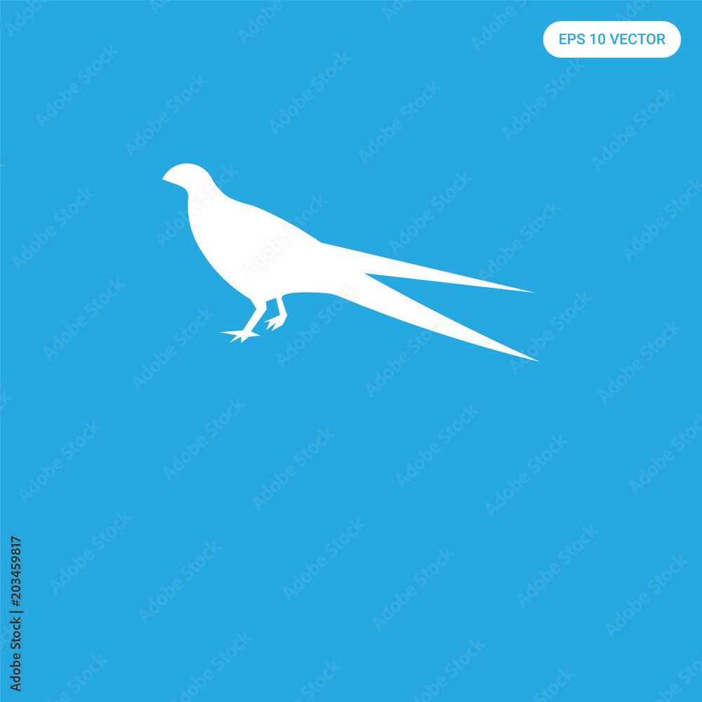 icon isolated on blue background icon isolated on blue background