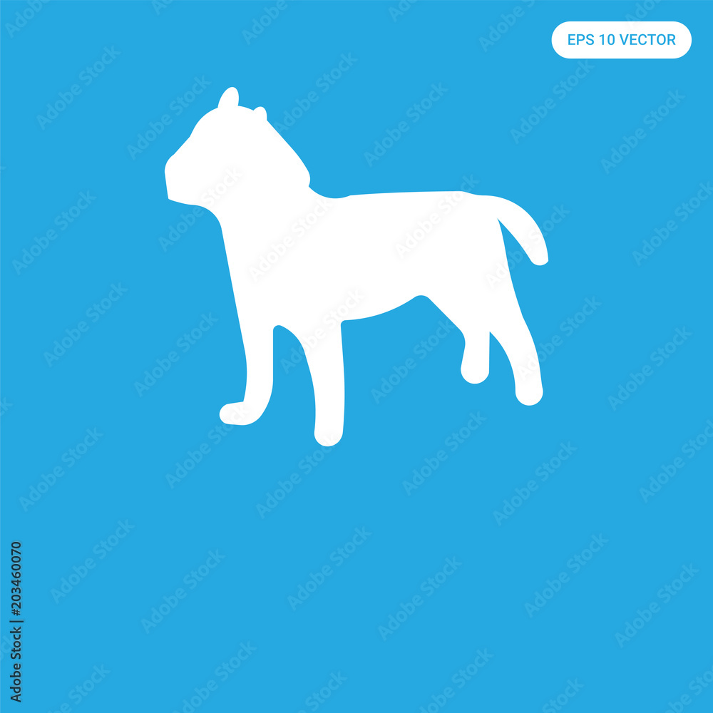 Fototapeta premium icon isolated on blue background