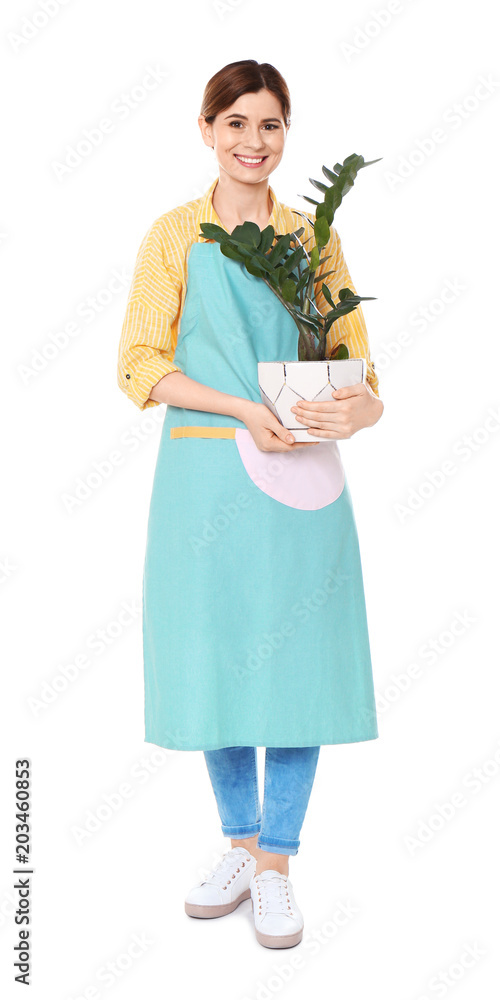 Female florist holding houseplant on white background Female florist holding houseplant on white background