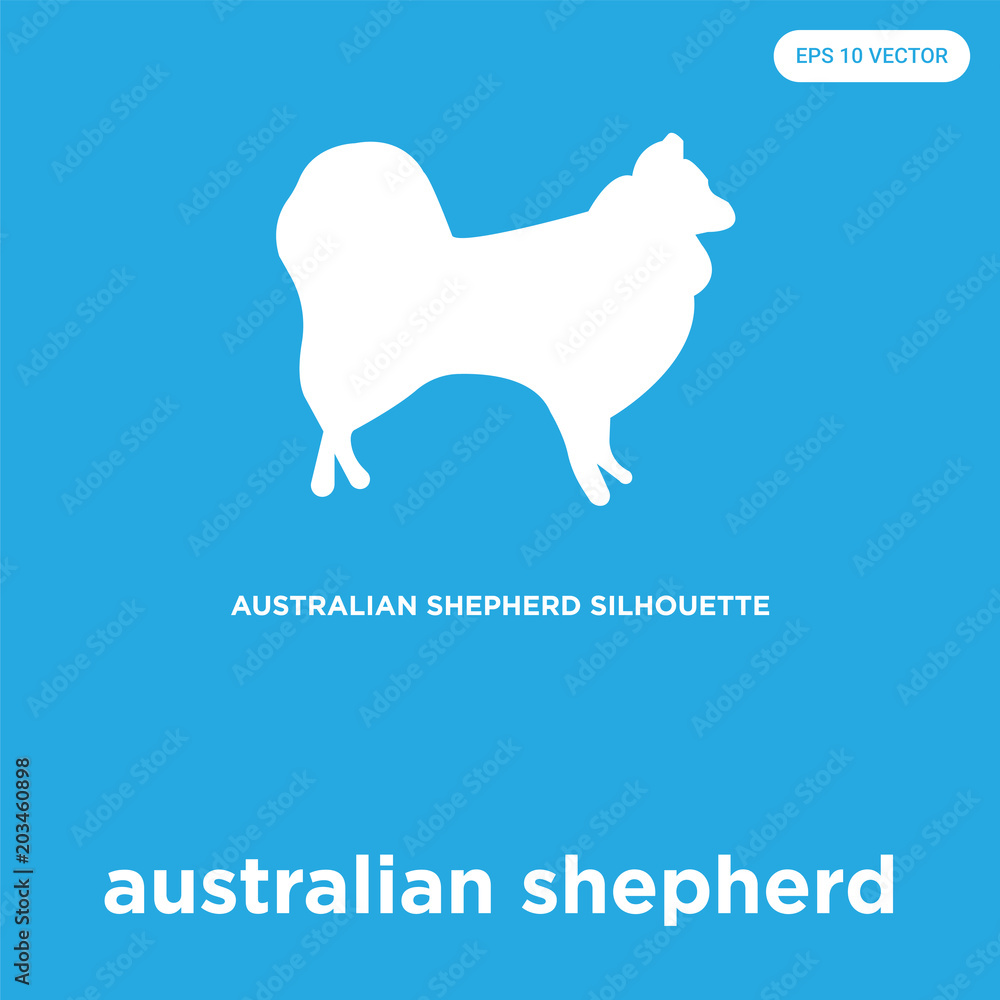 australian shepherd icon isolated on blue background