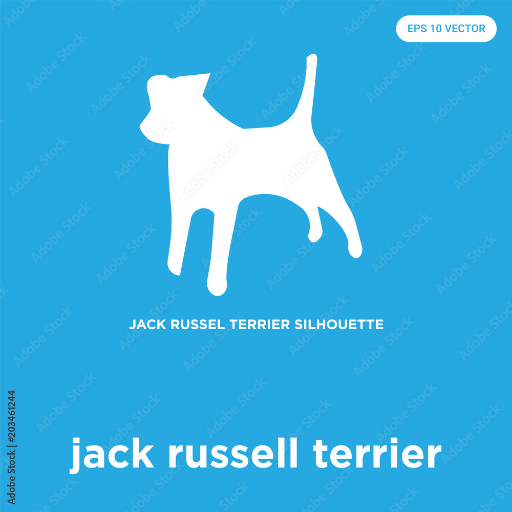 jack russell terrier icon isolated on blue background